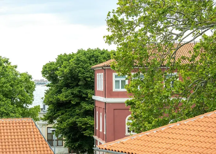 Apartment Orgulje